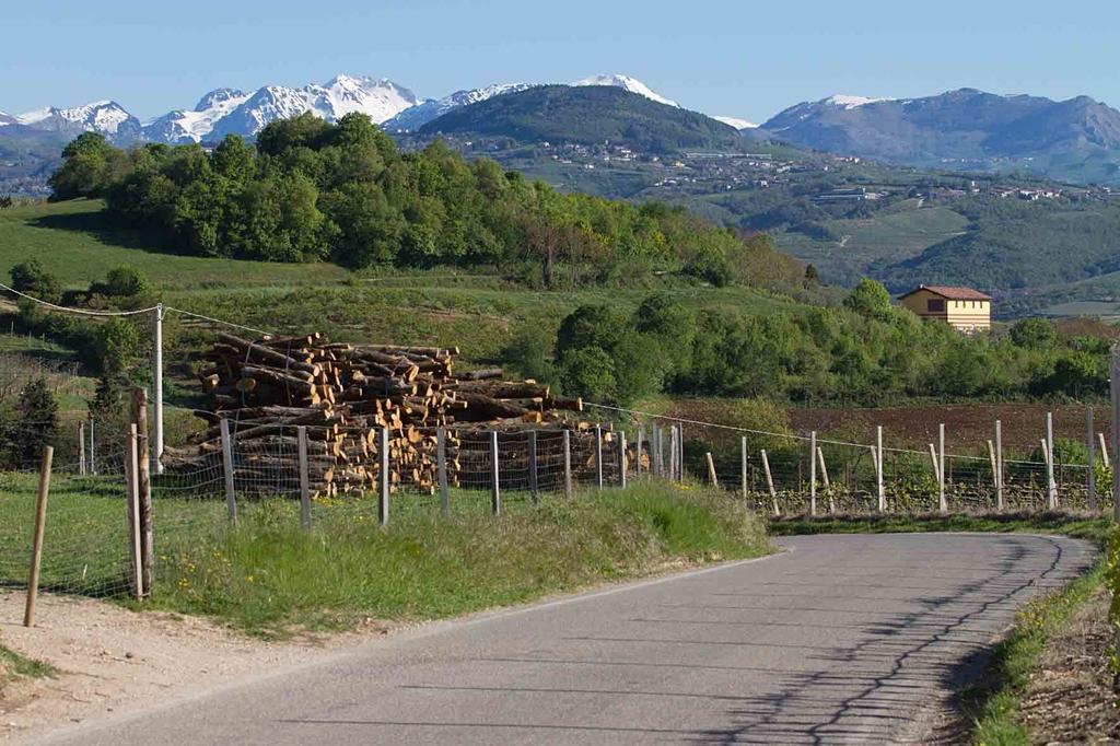 Podere Castagne Mezzane di Sotto Kültér fotó