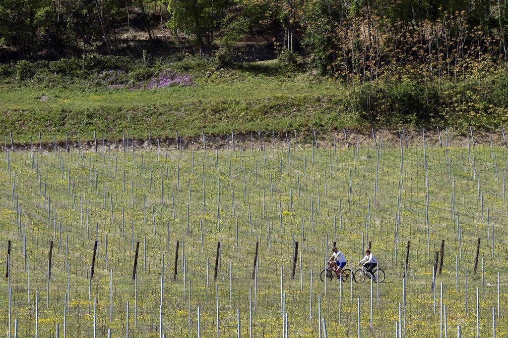 Podere Castagne Mezzane di Sotto Kültér fotó