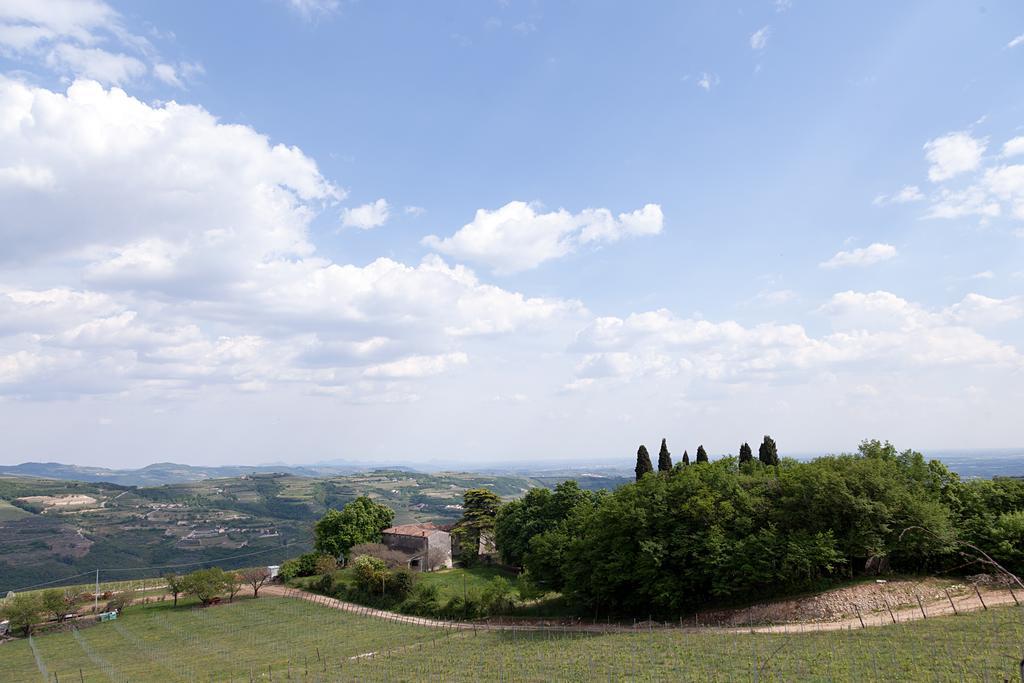 Podere Castagne Mezzane di Sotto Kültér fotó