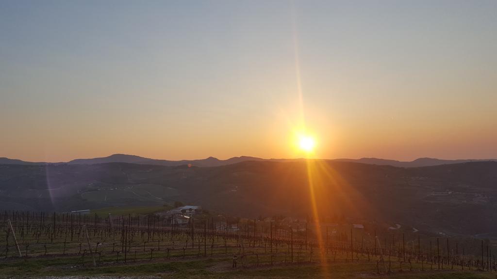 Podere Castagne Mezzane di Sotto Kültér fotó