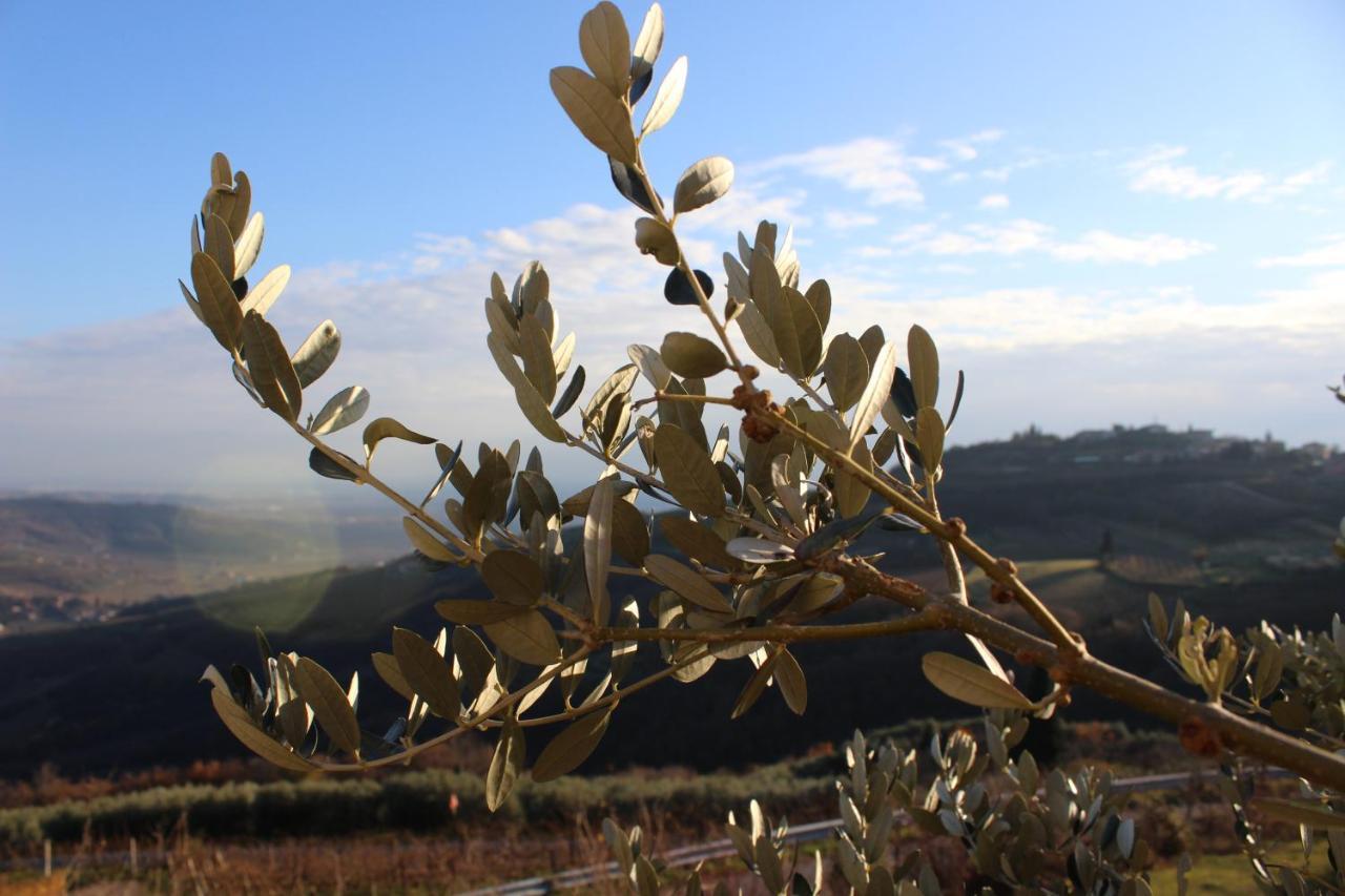 Podere Castagne Mezzane di Sotto Kültér fotó