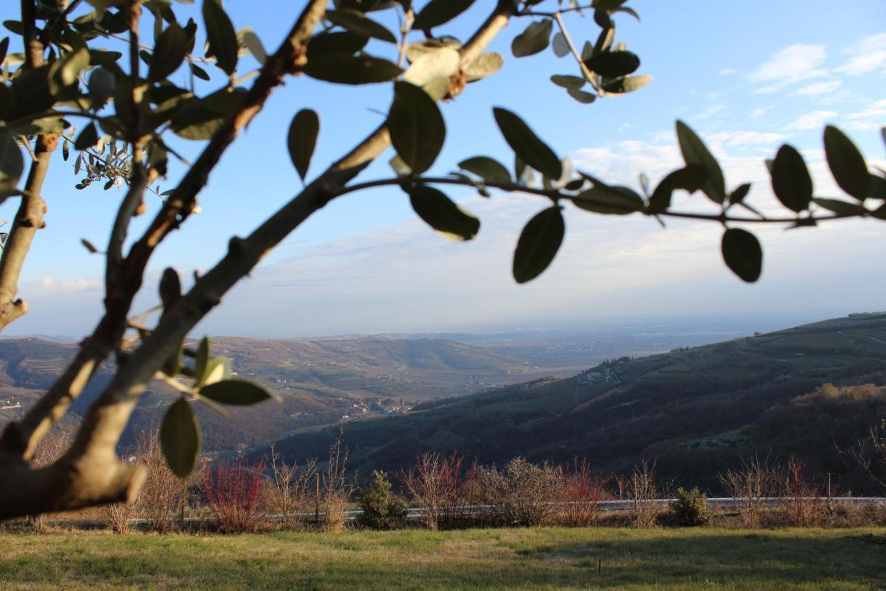 Podere Castagne Mezzane di Sotto Kültér fotó
